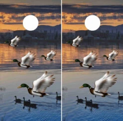 Mallard Ducks Cornhole Wraps - Set Of 2